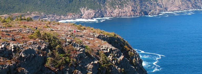 News & Notices — Town of Logy Bay-Middle Cove-Outer Cove