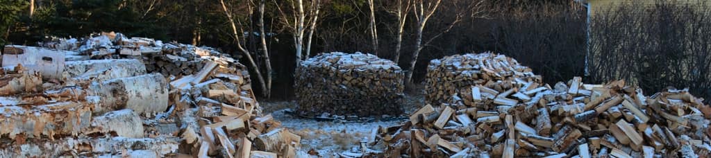 Recreation & Leisure — Town of Logy Bay-Middle Cove-Outer Cove
